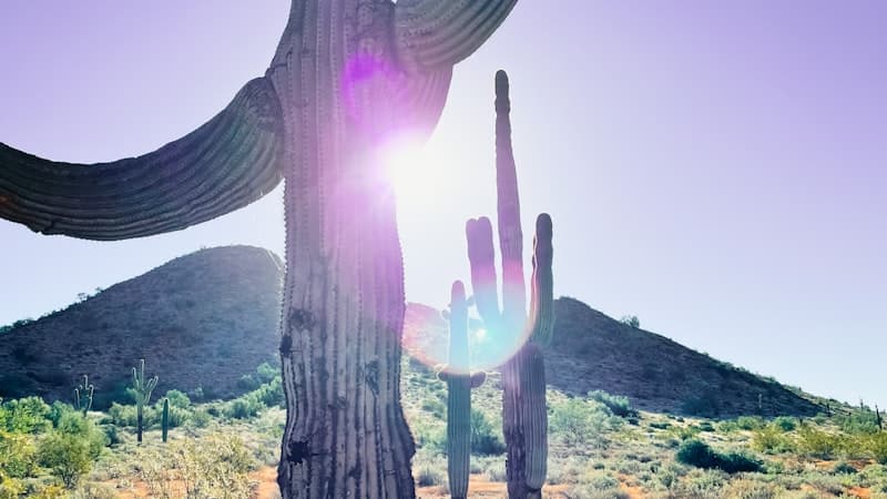 Selling Desert Land in Arizona: Challenges and Solutions