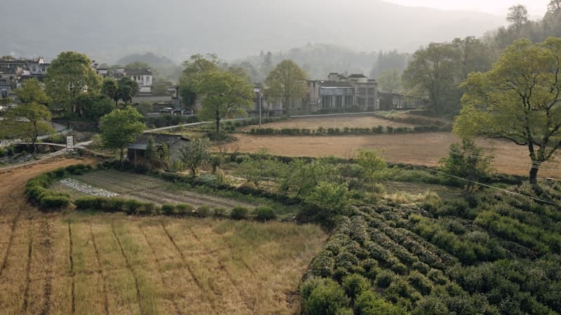 Inherited Land: What Are Your Options?