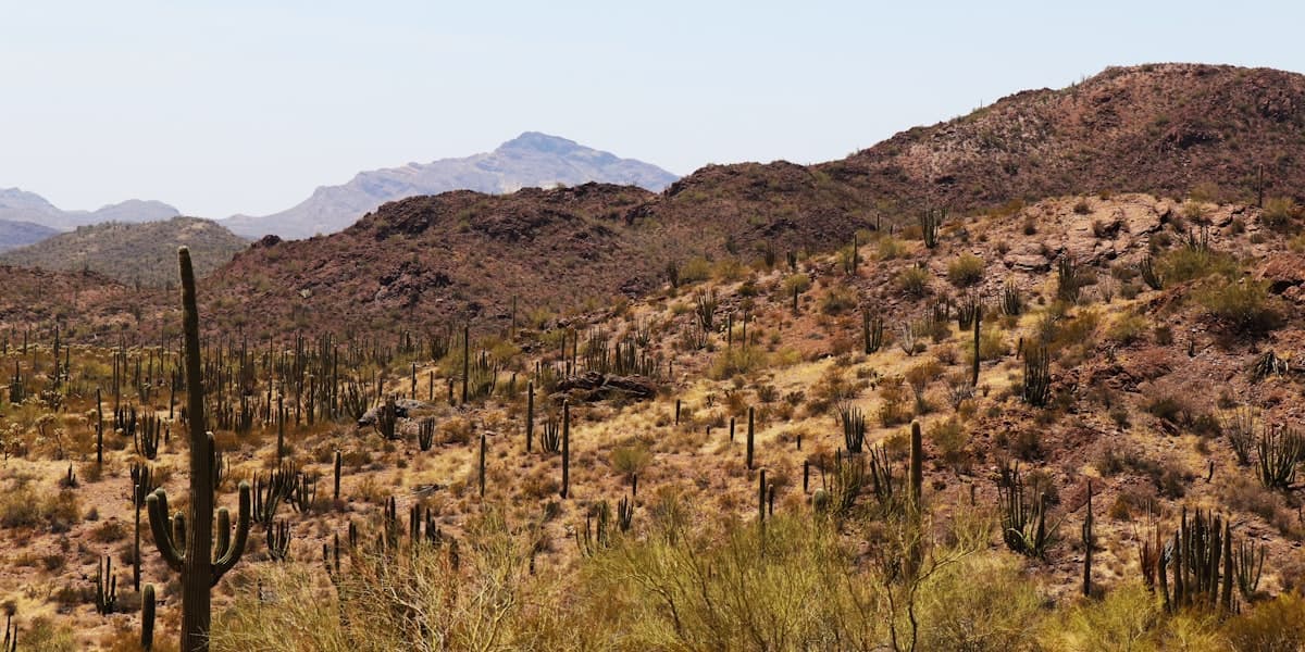 Vacant land in Scottsdale, Arizona